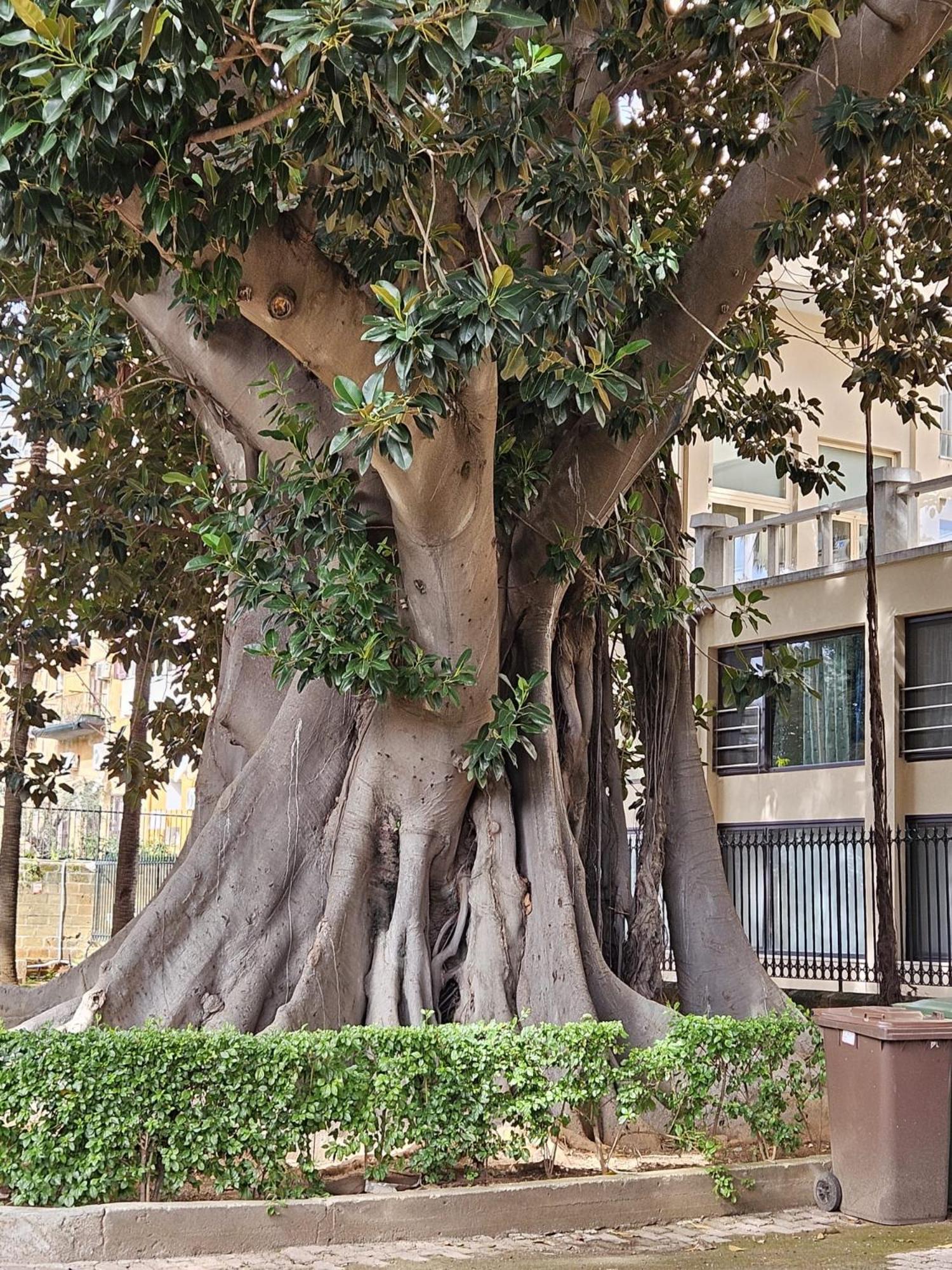 Casa Porta Nuova Apartman Palermo Kültér fotó